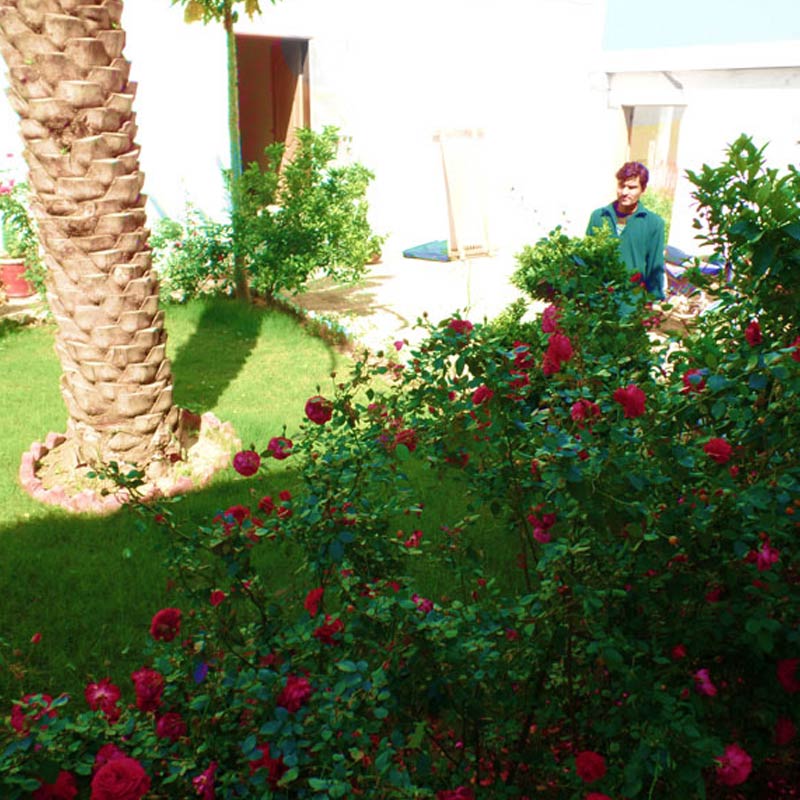 Spring Season at Nanba - Picture 004